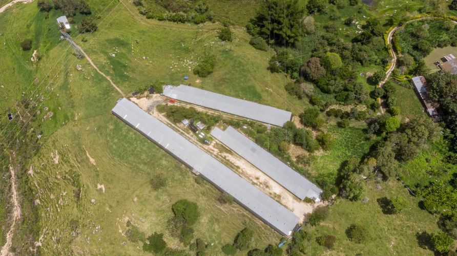Finca en venta en Mesa De Los Santos, Piedecuesta, 160 m² · foto 4 de 16