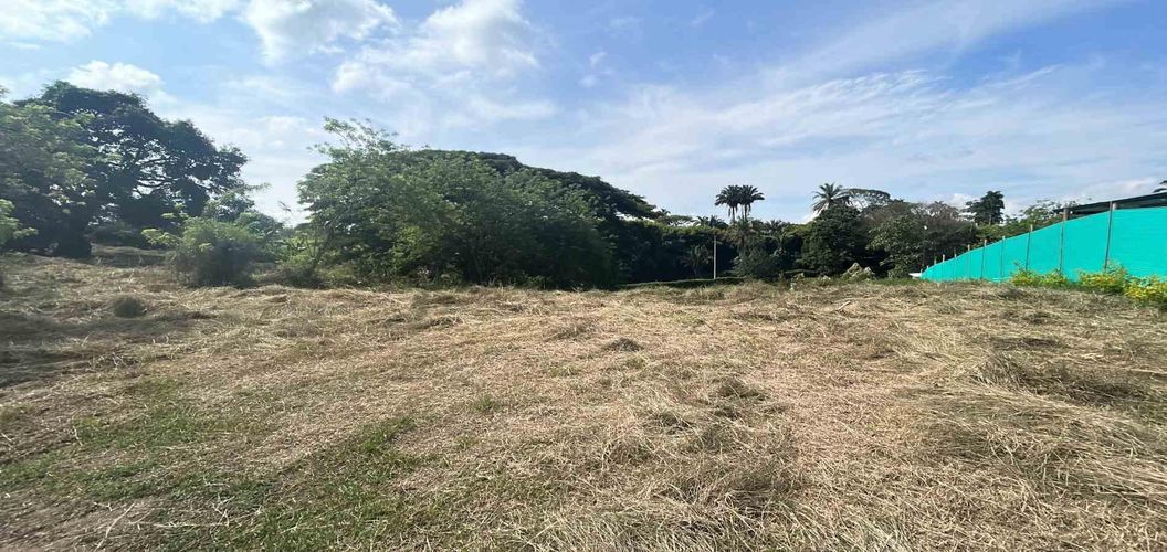 Lote en venta en La Estrella La Palm, Pereira · foto 4 de 6