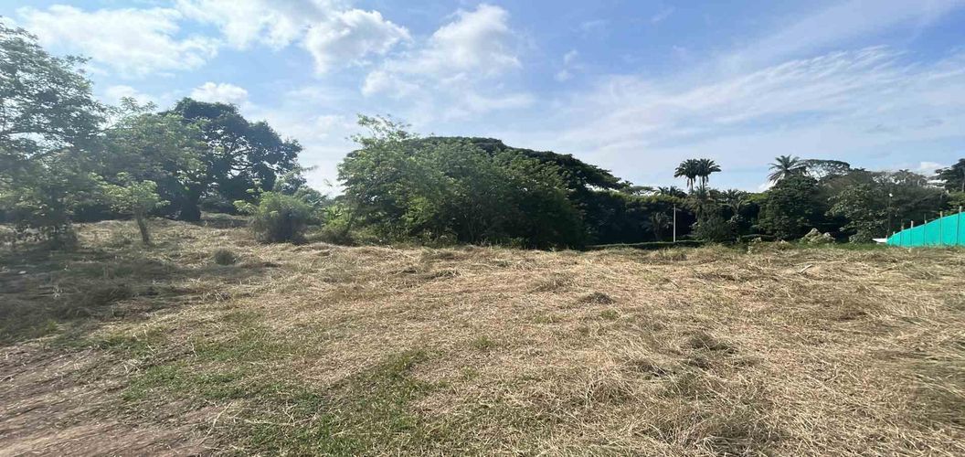 Lote en venta en La Estrella La Palm, Pereira · foto 5 de 6