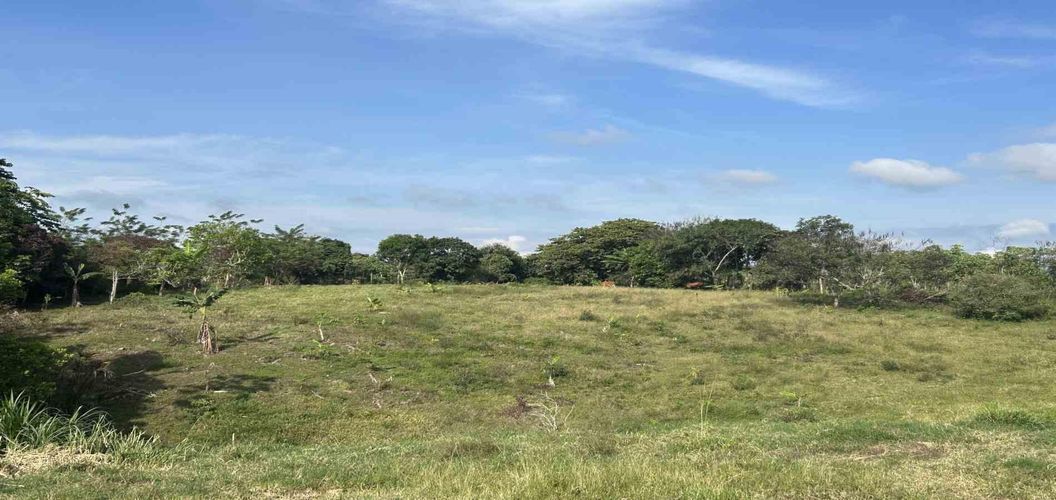 Lote en venta en Cerritos, Pereira · foto 3 de 9