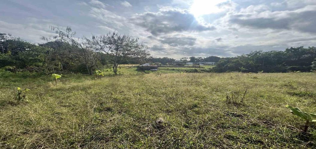 Lote en venta en Cerritos, Pereira · foto 4 de 9