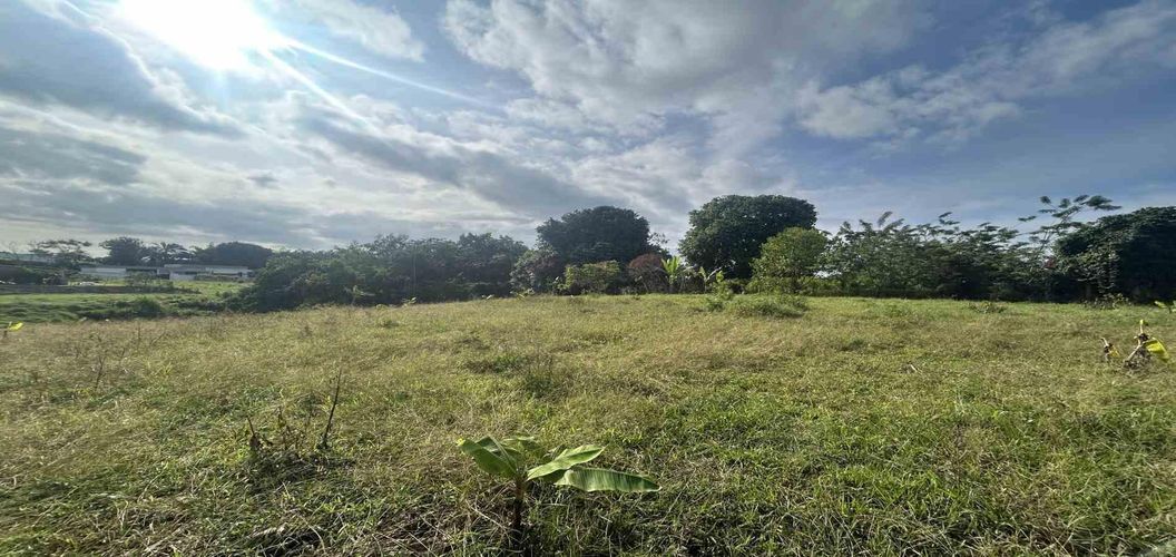 Lote en venta en Cerritos, Pereira · foto 5 de 9