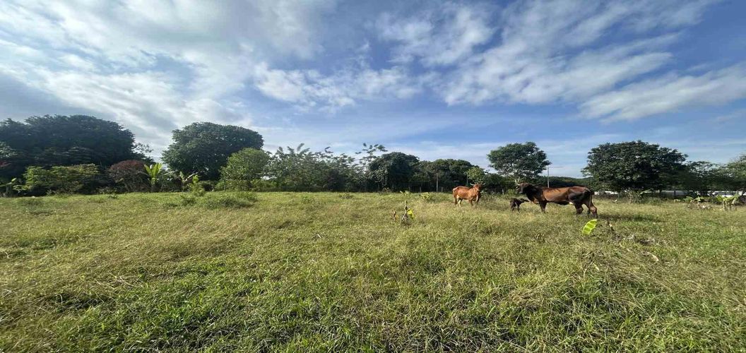 Lote en venta en Cerritos, Pereira · foto 6 de 9