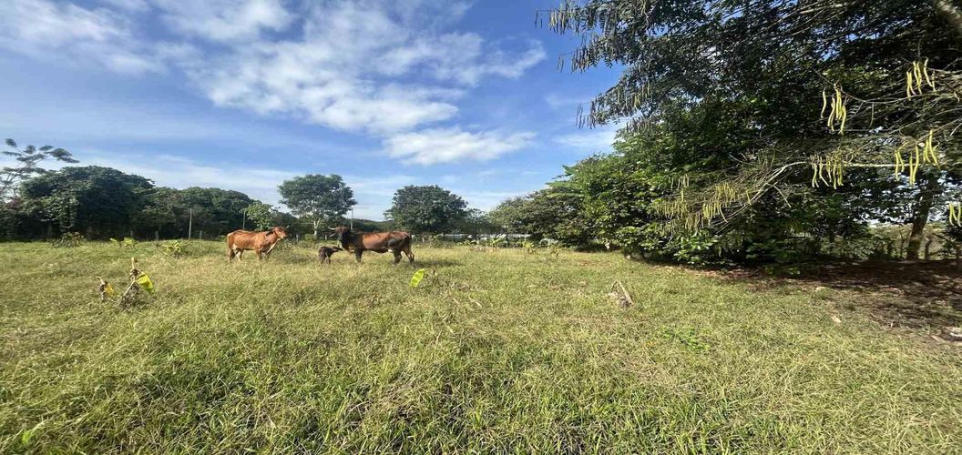 Lote en venta en Cerritos, Pereira · foto 7 de 9