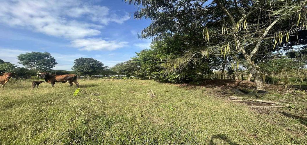 Lote en venta en Cerritos, Pereira · foto 8 de 9