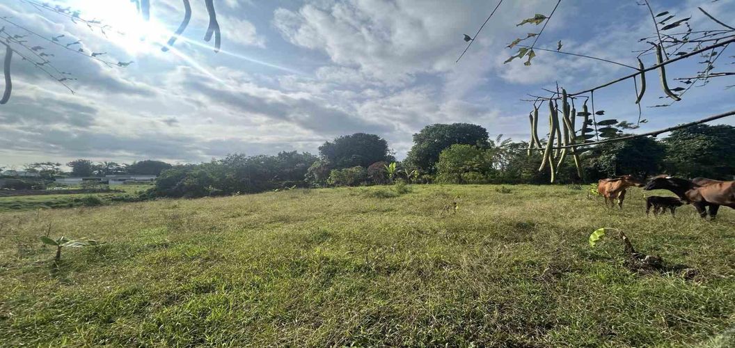 Lote en venta en Cerritos, Pereira · foto 9 de 9