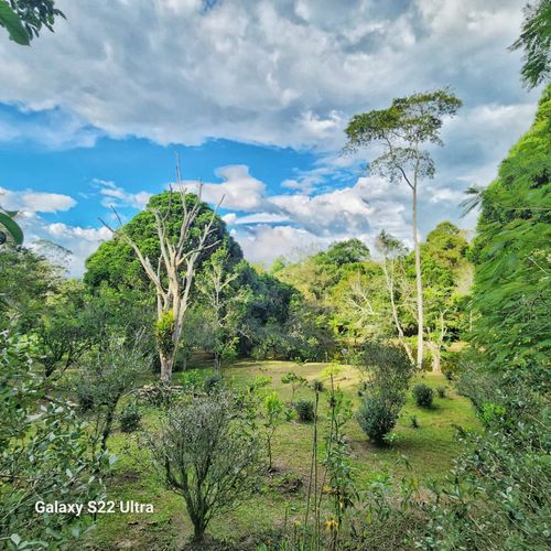 Finca en venta en Mesa De Los Santos, Piedecuesta, 300 m² · foto 6 de 13