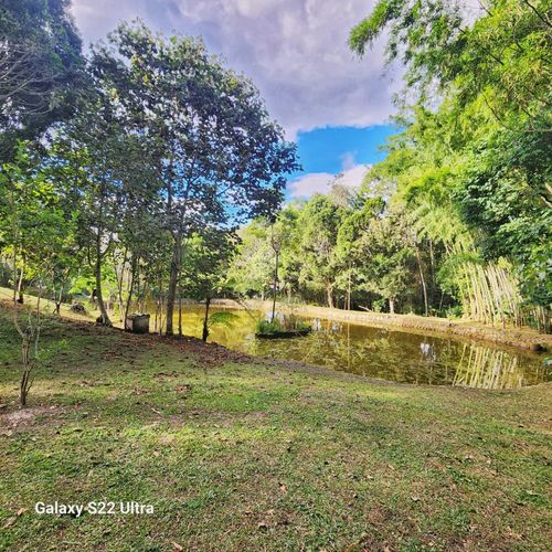 Finca en venta en Mesa De Los Santos, Piedecuesta, 300 m² · foto 7 de 13