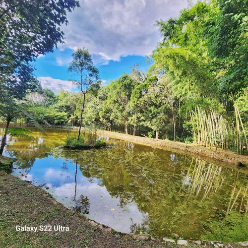Finca en venta en Mesa De Los Santos, Piedecuesta, 300 m² · foto 8 de 13
