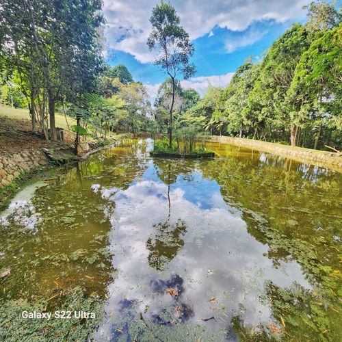 Finca en venta en Mesa De Los Santos, Piedecuesta, 300 m² · foto 9 de 13