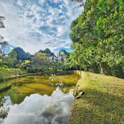Finca en venta en Mesa De Los Santos, Piedecuesta, 300 m² · foto 10 de 13
