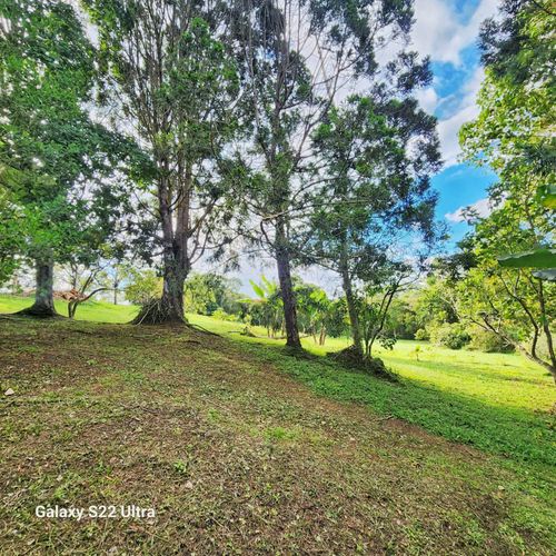 Finca en venta en Mesa De Los Santos, Piedecuesta, 300 m² · foto 12 de 13