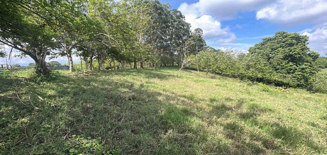Lote en venta en La Estrella La Palm, Pereira · foto 3 de 9