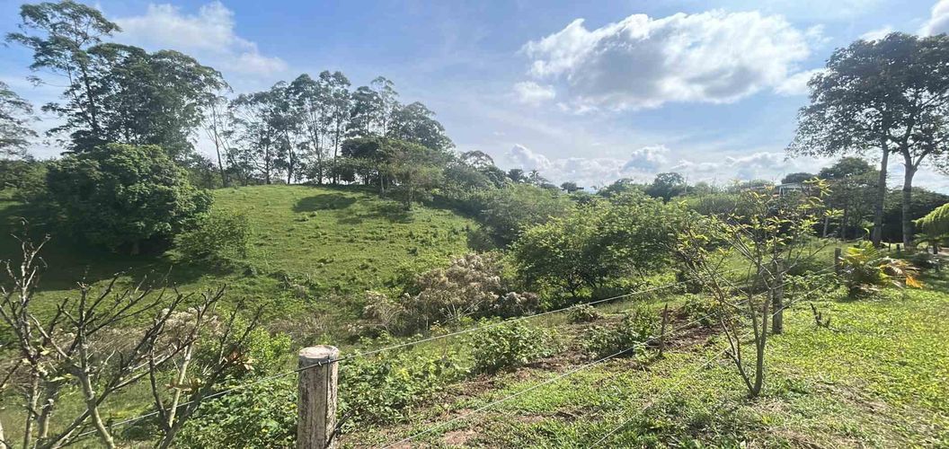 Lote en venta en La Estrella La Palm, Pereira · foto 5 de 9