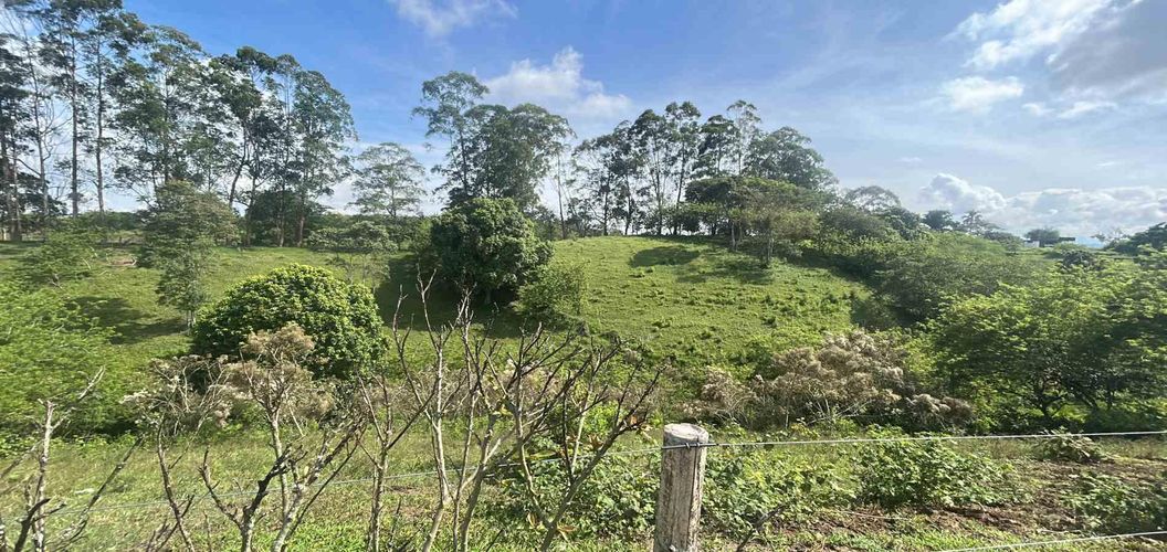 Lote en venta en La Estrella La Palm, Pereira · foto 6 de 9