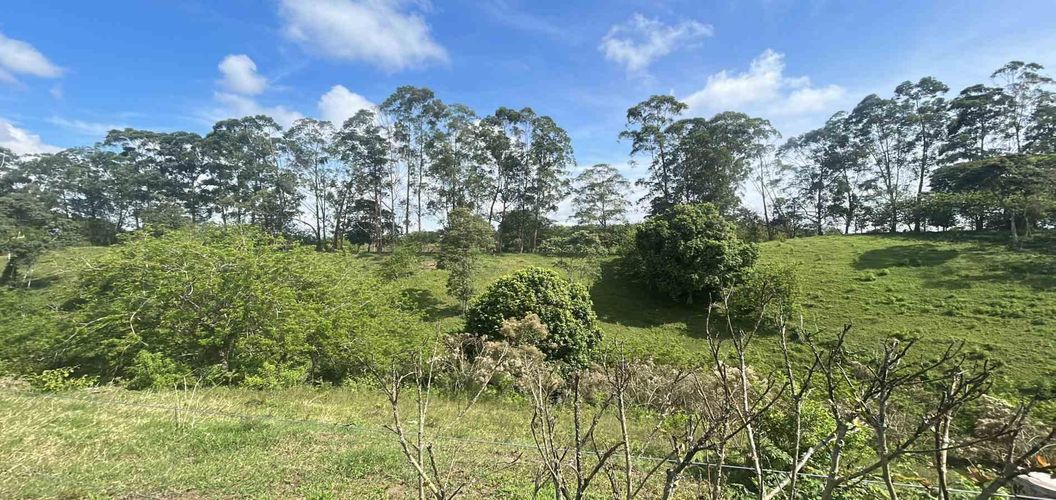 Lote en venta en La Estrella La Palm, Pereira · foto 7 de 9