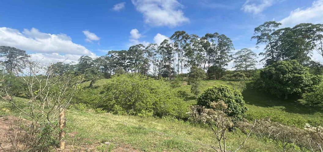 Lote en venta en La Estrella La Palm, Pereira · foto 8 de 9