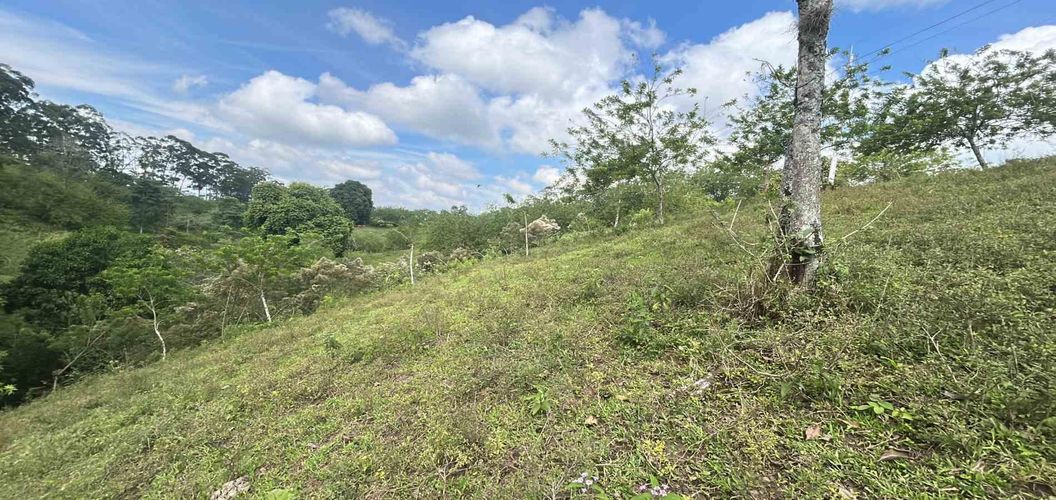 Lote en venta en La Estrella La Palm, Pereira, 90 m² · foto 2 de 11