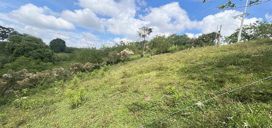 Lote en venta en La Estrella La Palm, Pereira, 90 m² · foto 3 de 11