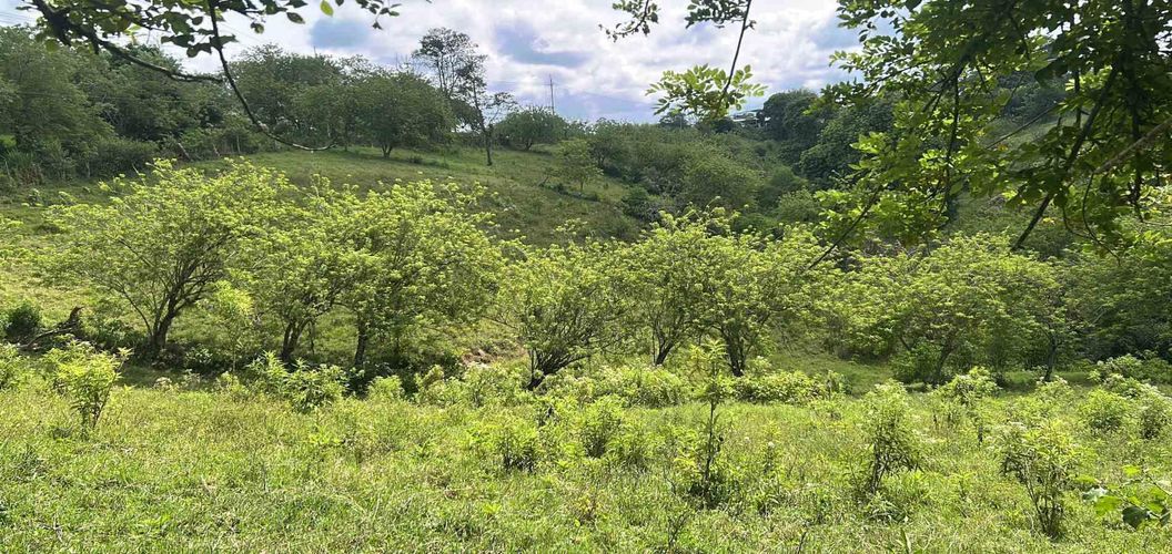 Lote en venta en La Estrella La Palm, Pereira, 90 m² · foto 5 de 11