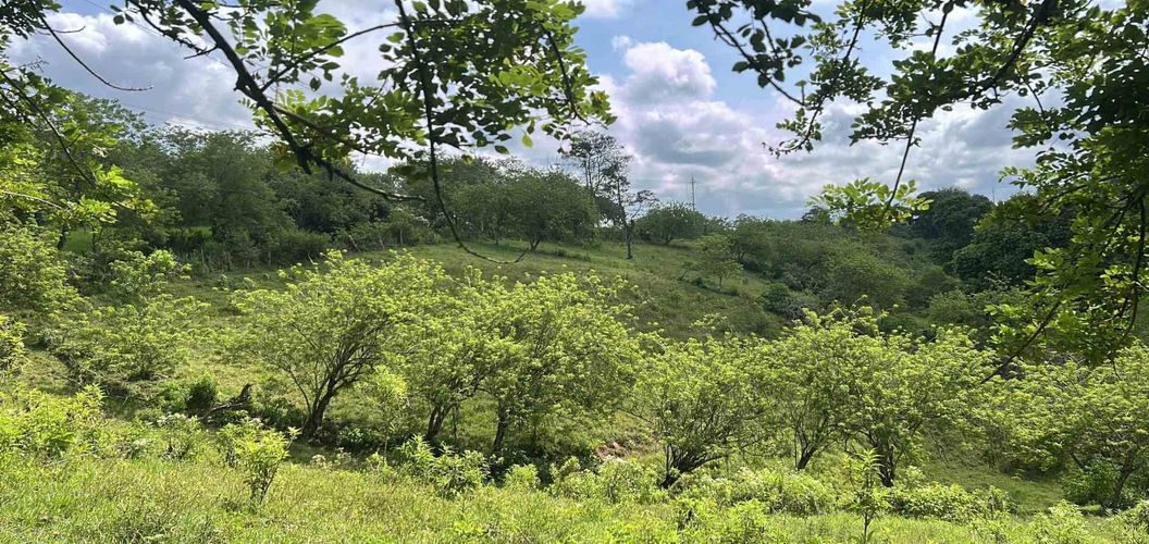 Lote en venta en La Estrella La Palm, Pereira, 90 m² · foto 6 de 11