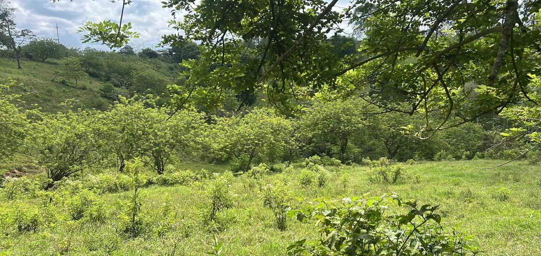 Lote en venta en La Estrella La Palm, Pereira, 90 m² · foto 7 de 11