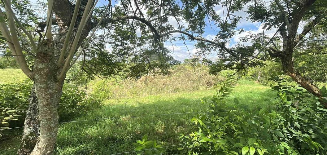 Lote en venta en La Estrella La Palm, Pereira, 90 m² · foto 10 de 11