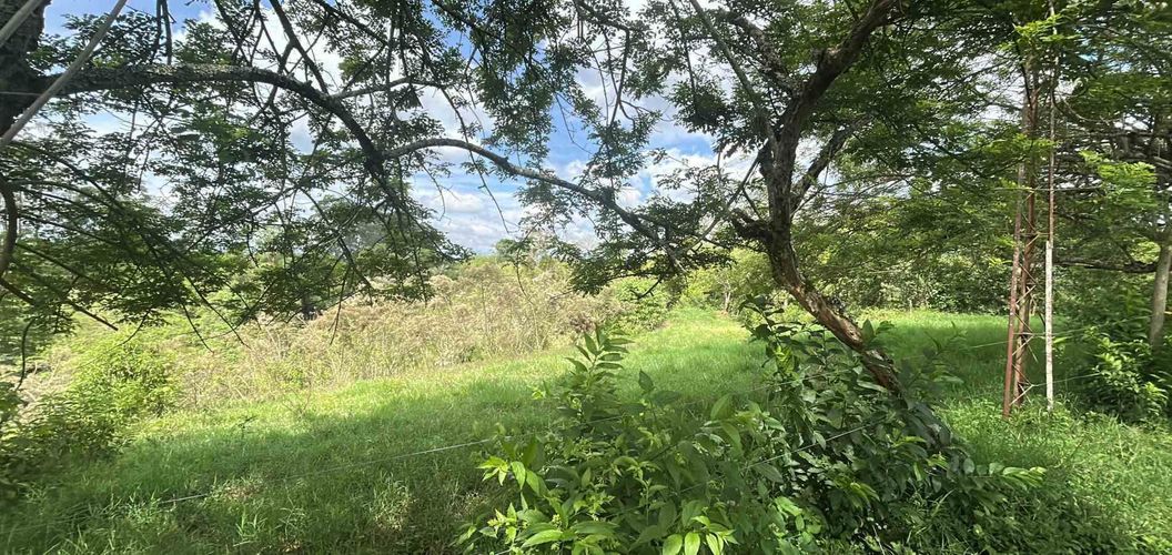Lote en venta en La Estrella La Palm, Pereira, 90 m² · foto 11 de 11