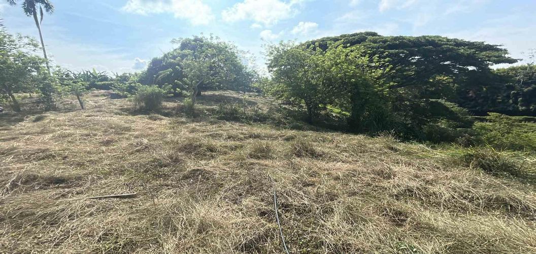 Lote en venta en La Estrella La Palm, Pereira · foto 4 de 9