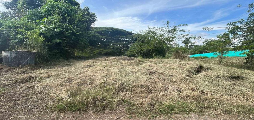 Lote en venta en La Estrella La Palm, Pereira · foto 5 de 9