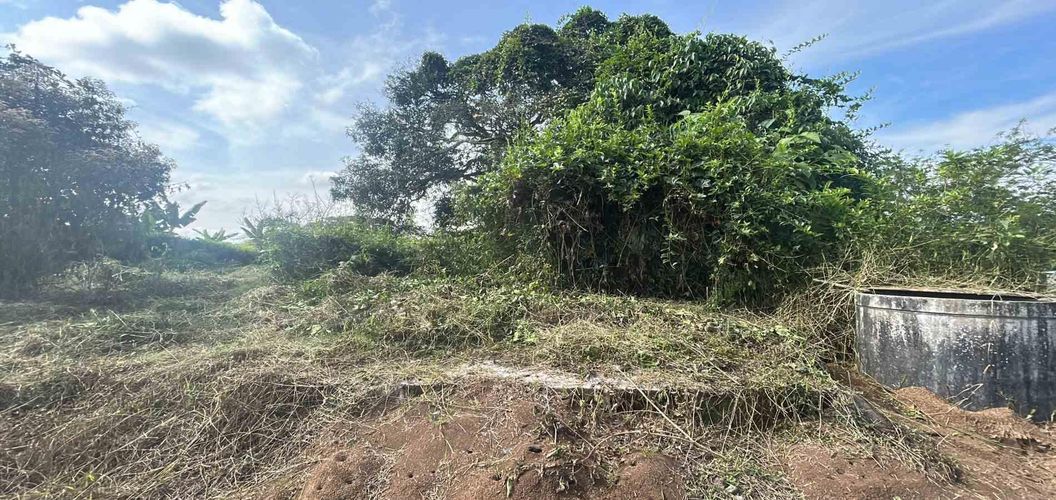 Lote en venta en La Estrella La Palm, Pereira · foto 6 de 9