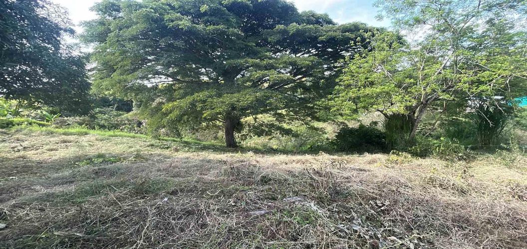 Lote en venta en La Estrella La Palm, Pereira · foto 7 de 9