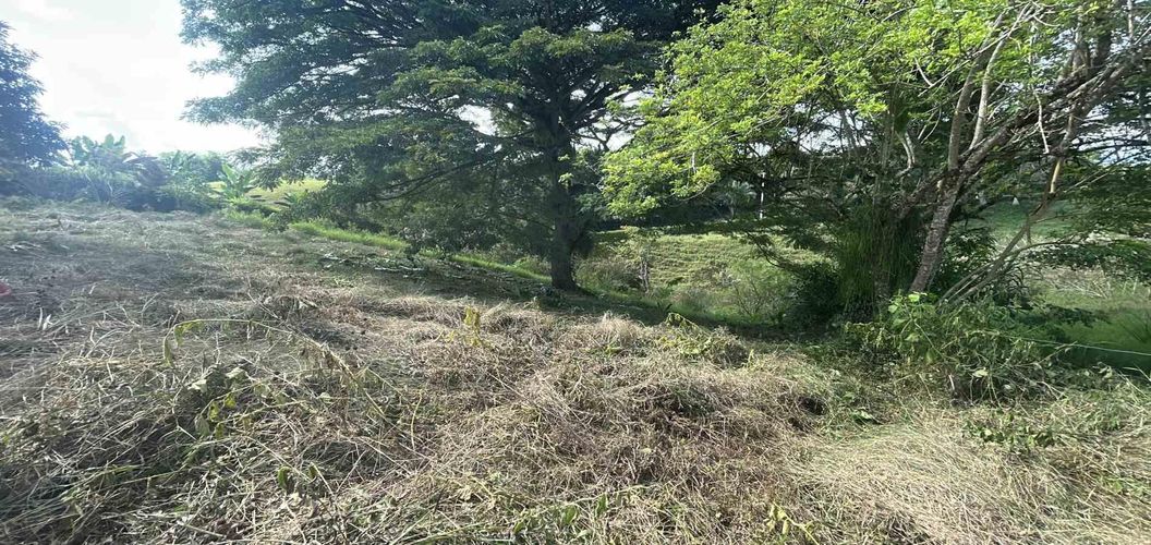 Lote en venta en La Estrella La Palm, Pereira · foto 8 de 9