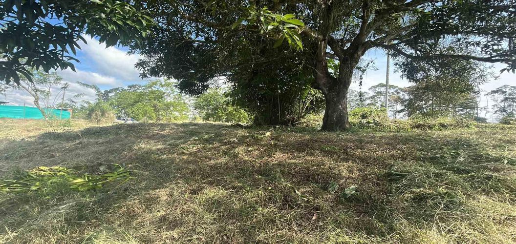 Lote en venta en La Estrella La Palm, Pereira · foto 9 de 9
