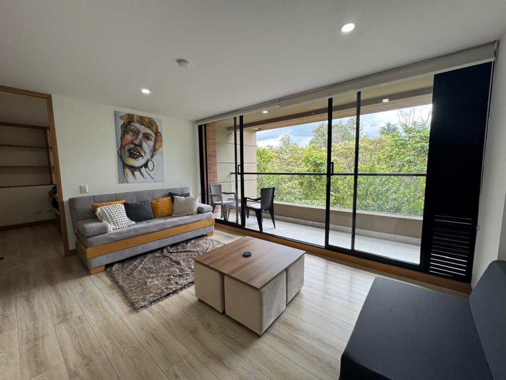 1BR Apartment in Centro (50 m²) - 2