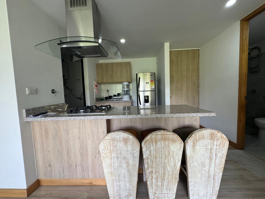 1BR Apartment in Centro (50 m²) - 4
