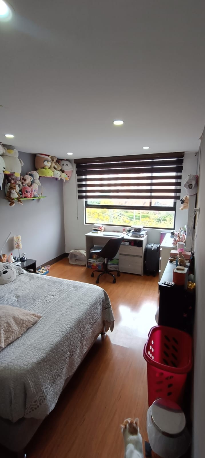 Apartamento en venta en Cedritos, Bogotá · foto 8 de 24