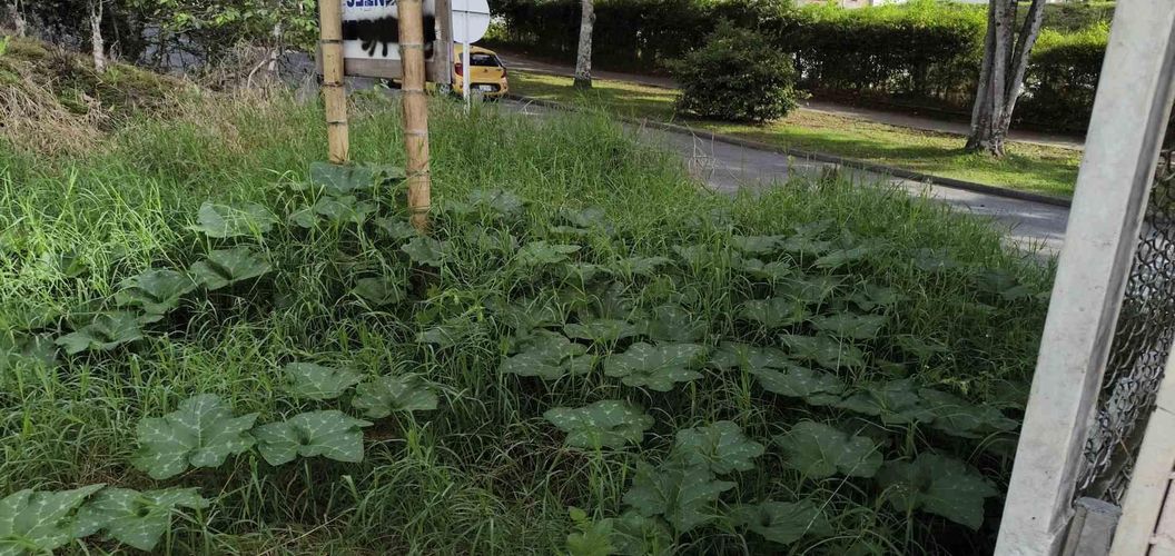 Lote en venta en Corbones, Armenia · foto 8 de 12