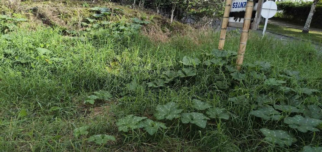 Lote en venta en Corbones, Armenia · foto 9 de 12