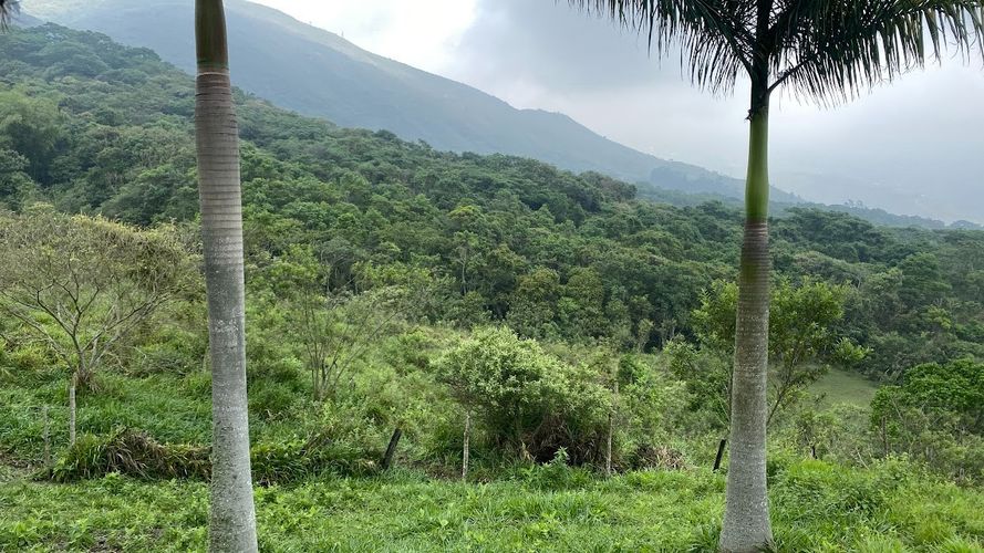 Finca en venta en Rural, Yumbo, 125 m² · foto 4 de 24