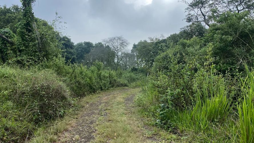 Finca en venta en Rural, Yumbo, 125 m² · foto 5 de 24