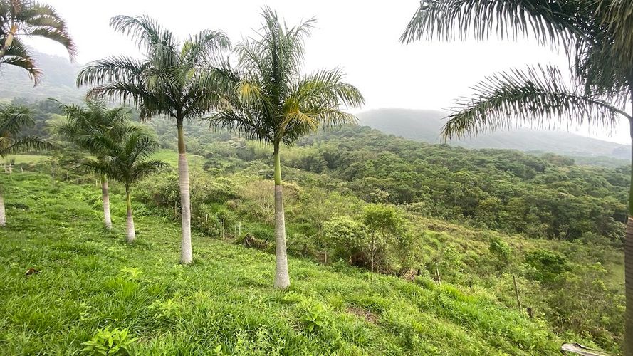 Finca en venta en Rural, Yumbo, 125 m² · foto 7 de 24
