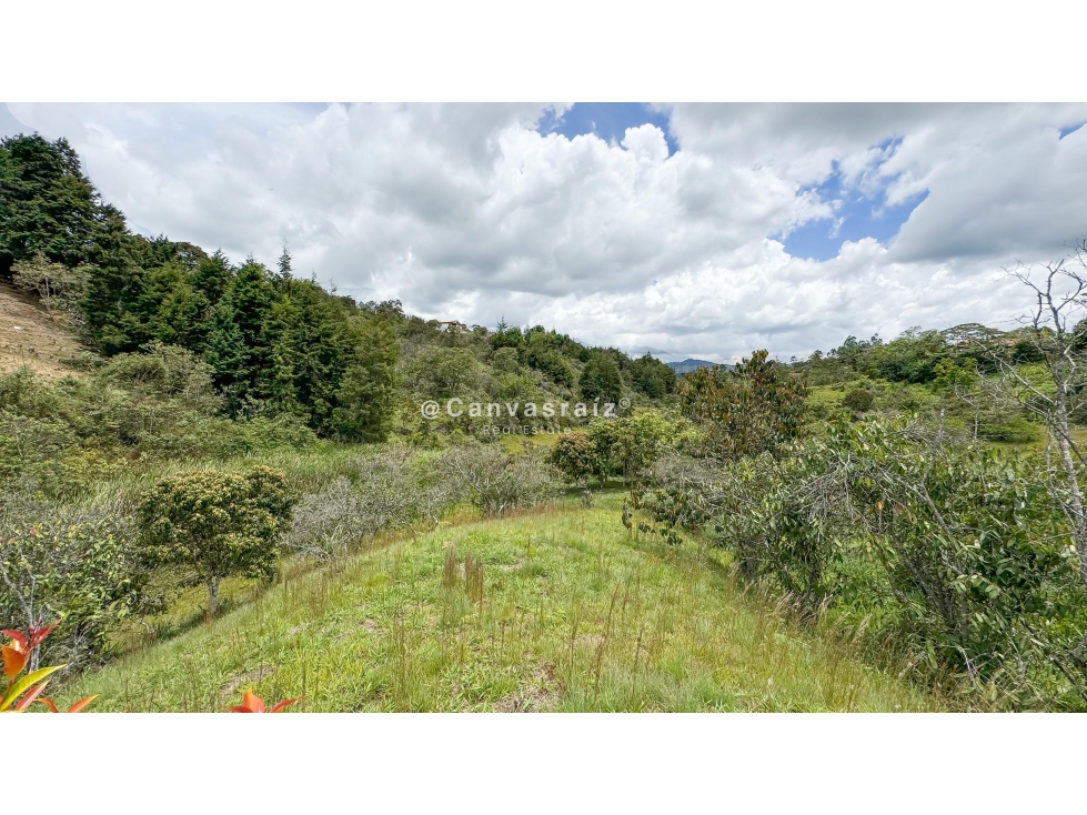 Land in Mampuesto (3438 m²) for Sale - 4