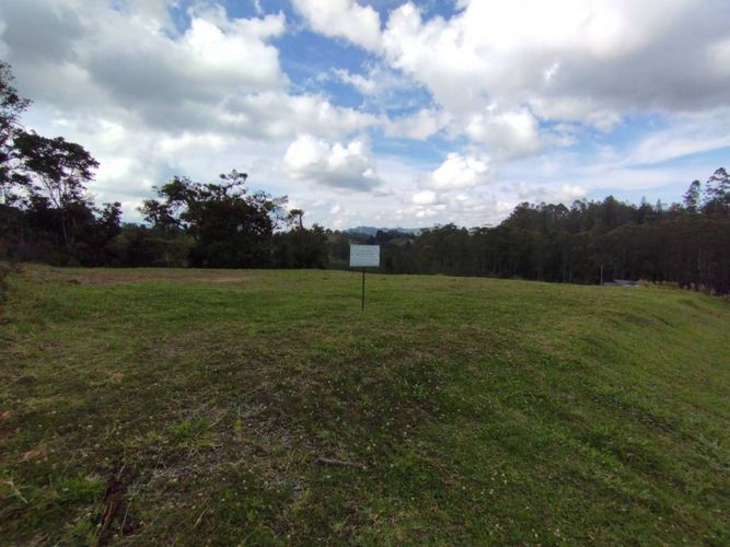 Lote en venta en Pantanillo, El Retiro, 2650 m² · foto 2 de 18