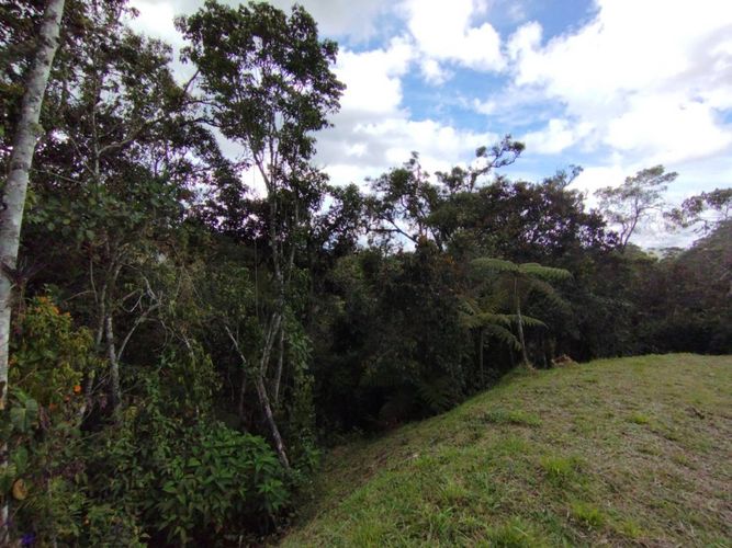 Lote en venta en Pantanillo, El Retiro, 2650 m² · foto 3 de 18