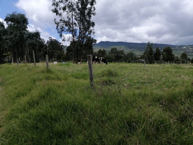 Lote en venta en Calahorra, Cajicá, 120 m² · foto 5 de 22