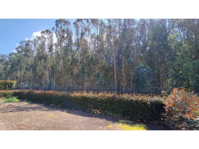 Lote en venta en Hatogrande, Sopó · foto 2 de 24