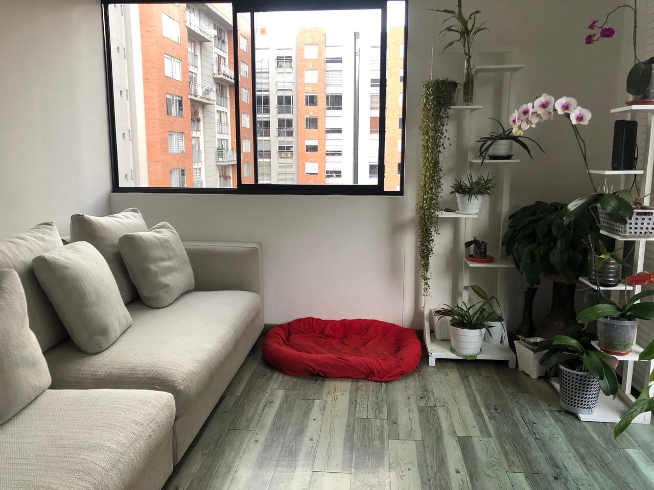 Apartamento en venta en Santa Teresa, Bogotá · foto 12 de 14