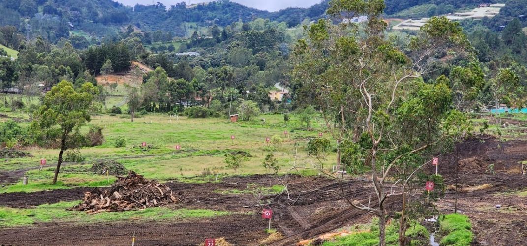 Lote en venta en El Tambo, La Ceja, 1265 m² · foto 3 de 7