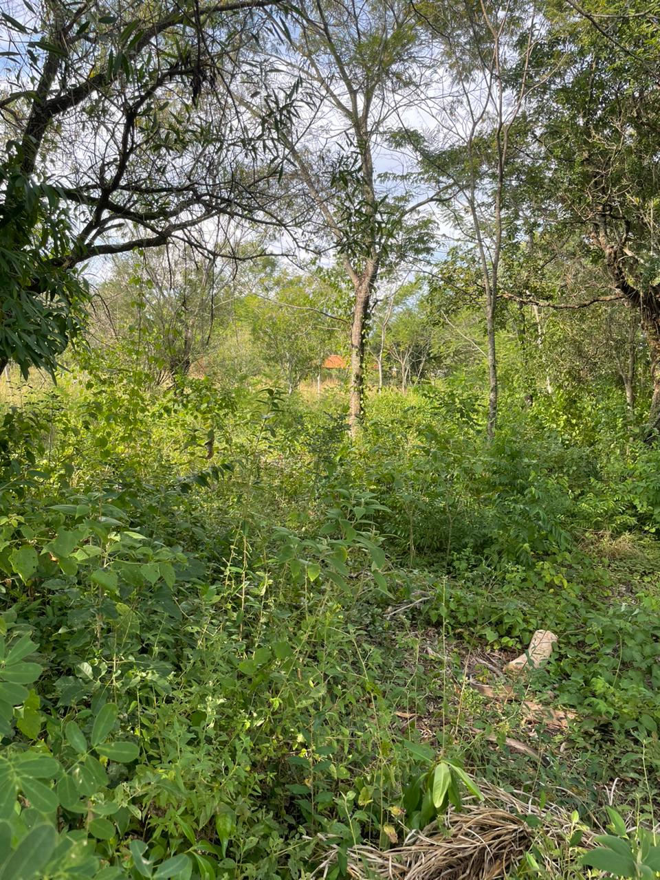Terreno en esquina de 2.500 m2 en Barrio cerrado Miralago! Ypacarai — foto 3